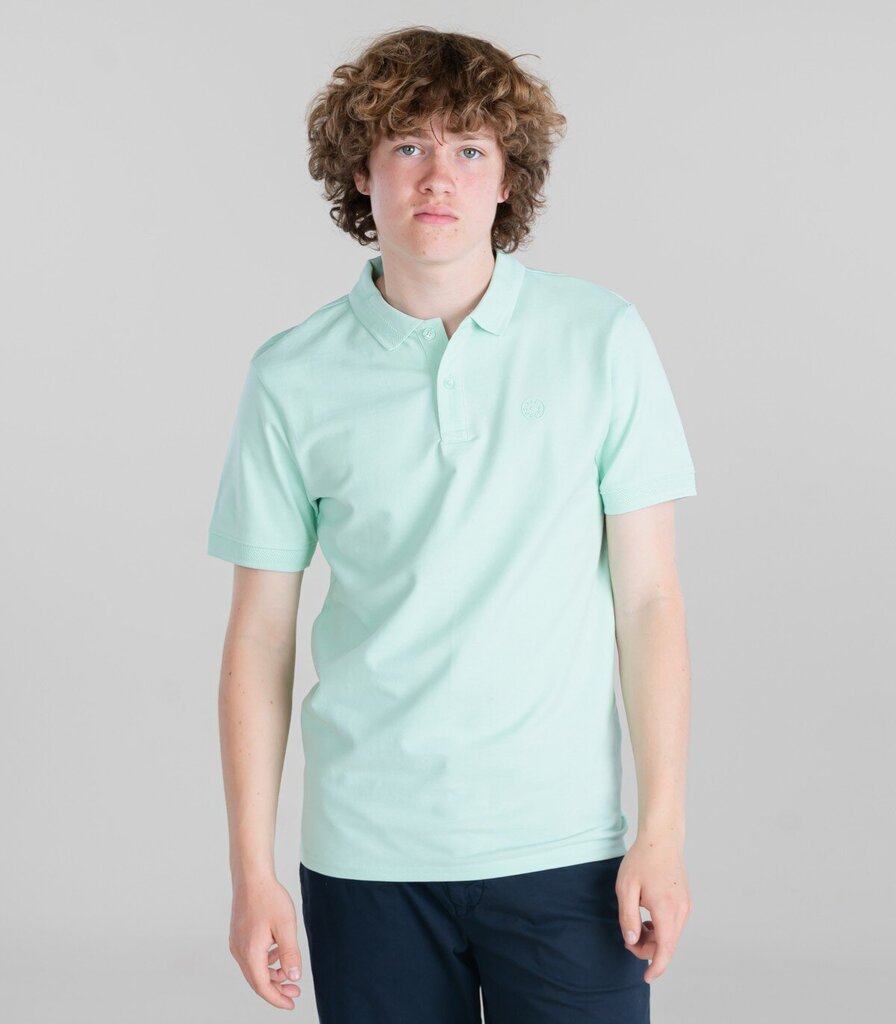 Polo marškinėliai vyrams Lee Cooper, žali kaina ir informacija | Vyriški marškinėliai | pigu.lt