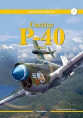 Curtiss P-40 Vol. I kaina ir informacija | Socialinių mokslų knygos | pigu.lt