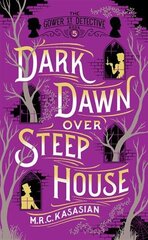 Dark Dawn Over Steep House цена и информация | Фантастика, фэнтези | pigu.lt