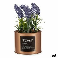 Dekoratyvinis augalas Levandos, 6 vnt. kaina ir informacija | Dirbtinės gėlės | pigu.lt