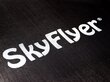 Batutas su kopėčiomis SkyFlyer, 426 cm kaina ir informacija | Batutai | pigu.lt