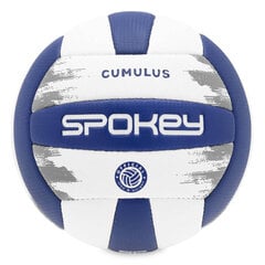 Paplūdimio tinklinio kamuolys Spokey, baltas/mėlynas kaina ir informacija | Tinklinio kamuoliai | pigu.lt