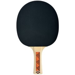 Теннисная ракетка Donic Champ Line 200 FSC цена и информация | Ракетки для настольного тенниса, чехлы и наборы | pigu.lt