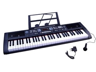 Vaikiškas pianinas su mikrofonu, 61 klavišai kaina ir informacija | Lavinamieji žaislai | pigu.lt