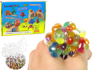 Kamuoliukai tinklelyje Lujie Toys, 12 vnt kaina ir informacija | Lavinamieji žaislai | pigu.lt
