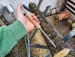 Įrankis grybienos ant pjuvenų sodinimui į rąstus kaina ir informacija | Sodo įrankiai | pigu.lt