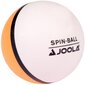 Stalo teniso kamuoliukų rinkinys Joola Spin Ball, 12 vnt, balti kaina ir informacija | Kamuoliukai stalo tenisui | pigu.lt