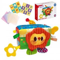 Edukacinė pliušinė dėžutė Woopie kaina ir informacija | Žaislai kūdikiams | pigu.lt