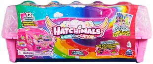 Figūrėlės Hatchimals Rainbow Holiday kaina ir informacija | Žaislai mergaitėms | pigu.lt