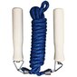 Šokinėjimo virvė EB Fit, 280 cm, mėlyna kaina ir informacija | Šokdynės | pigu.lt