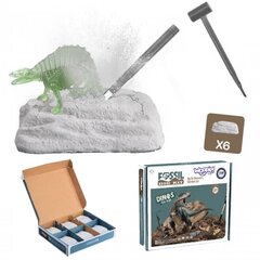 WOOPIE Набор для раскопок окаменелостей 6 в 1, динозавры цена и информация | Развивающие игрушки | pigu.lt
