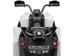 Электрический квадроцикл TERRAIN QUAD, белый цена и информация | Электромобили для детей | pigu.lt
