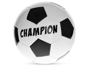 Futbolo kamuolys Champion, 1 dydis kaina ir informacija | Futbolo kamuoliai | pigu.lt