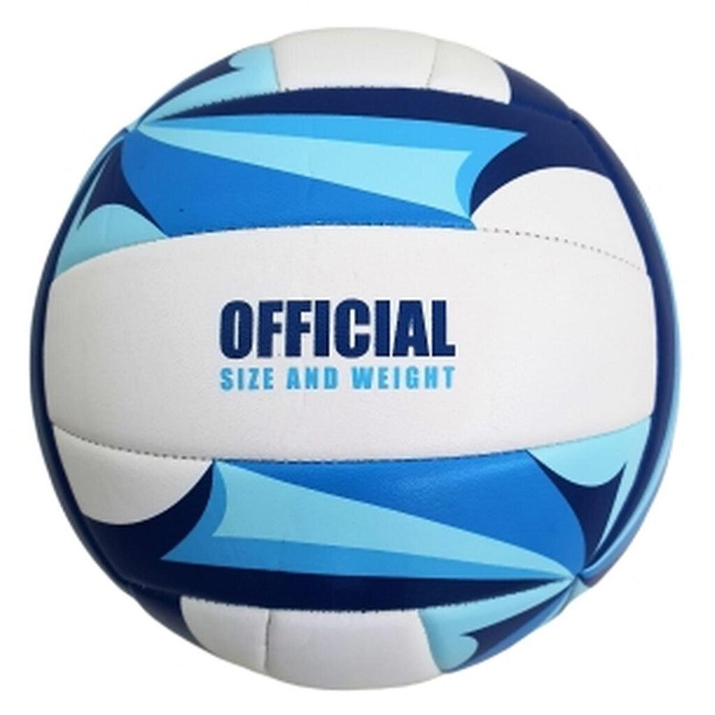 Paplūdimio tinklinio kamuolys Enero Pro Soft Touch kaina ir informacija | Tinklinio kamuoliai | pigu.lt