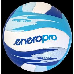 Paplūdimio kamuolys Enero Pro Soft, 5 dydis kaina ir informacija | Tinklinio kamuoliai | pigu.lt