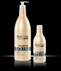 Drėkinamasis apimties suteikiantis šampūnas plaukams Stapiz Sleek Line Volume 300 ml kaina ir informacija | Šampūnai | pigu.lt