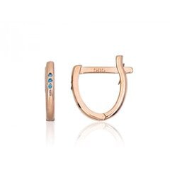 Auksiniai auskarai moterims Diamond Sky Confetti DS02A611 kaina ir informacija | Auskarai | pigu.lt