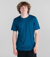 Marškinėliai vyrams Icepeak, žali kaina ir informacija | Vyriški marškinėliai | pigu.lt