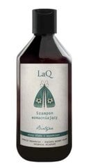Stiprinamasis šampūnas LaQ Biotino, 300 ml kaina ir informacija | Šampūnai | pigu.lt