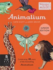 Animalium (Junior Edition) kaina ir informacija | Knygos paaugliams ir jaunimui | pigu.lt