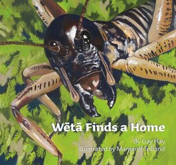 Weta Finds a Home kaina ir informacija | Knygos mažiesiems | pigu.lt