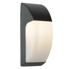 Searchlight наружный настенный светильник, бра Coastal IP44 3231GY цена и информация | Настенные светильники | pigu.lt