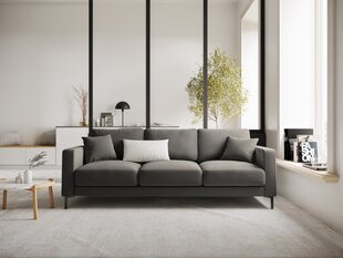 Trivietė velvet sofa Venus, šviesiai pilka kaina ir informacija | Sofos | pigu.lt