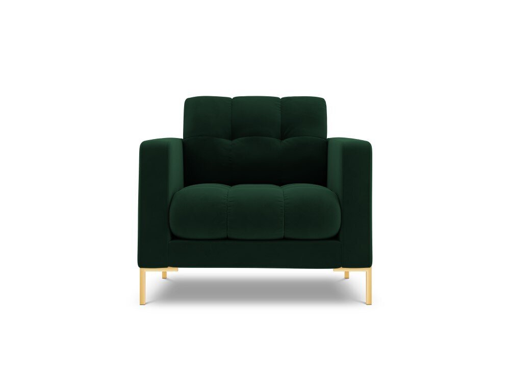 Fotelis Cosmopolitan Design Bali 1S-V, žalias/auksinės spalvos цена и информация | Svetainės foteliai | pigu.lt