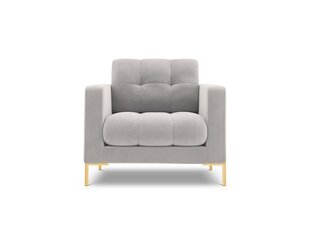 Кресло Cosmopolitan Design Bali 1S-V, светло-серый/ золотистый цена и информация | Кресла в гостиную | pigu.lt