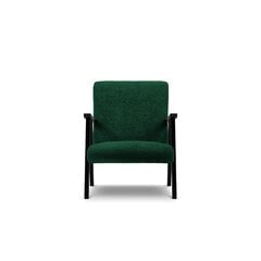 Fotelis Browne, 79x59x78 cm, žalias kaina ir informacija | Svetainės foteliai | pigu.lt