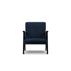 Fotelis Browne, 79x59x78 cm, mėlynas kaina ir informacija | Svetainės foteliai | pigu.lt