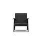 Fotelis Browne, 79x59x78 cm, juodas kaina ir informacija | Svetainės foteliai | pigu.lt