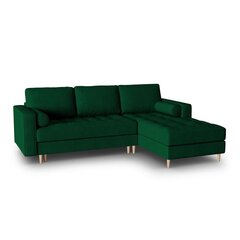 Dešininė kampinė sofa Velvet Gobi, 240x175x96 cm, žalia kaina ir informacija | Minkšti kampai | pigu.lt