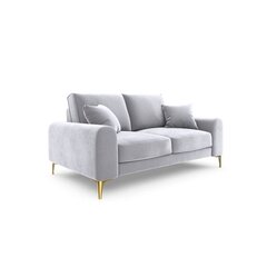 Dvivietė sofa Velvet Larnite, 172x102x90 cm, pilkos spalvos kaina ir informacija | Sofos | pigu.lt