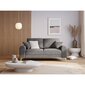 Dvivietė sofa Velvet Larnite, 172x102x90 cm, šviesiai pilkos spalvos цена и информация | Sofos | pigu.lt