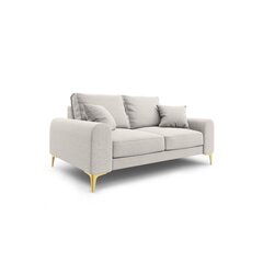 Dvivietė sofa Larnite, 172x102x90 cm, šviesiai pilka kaina ir informacija | Sofos | pigu.lt