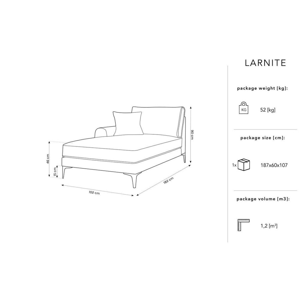 Kušetė Micadoni Home Larnite 1S-VR, pilka/juoda kaina ir informacija | Sofos | pigu.lt