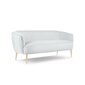 Sofa Micadoni Home Moss, pilka цена и информация | Sofos | pigu.lt