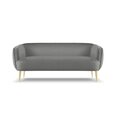 Sofa Micadoni Home Moss, pilka