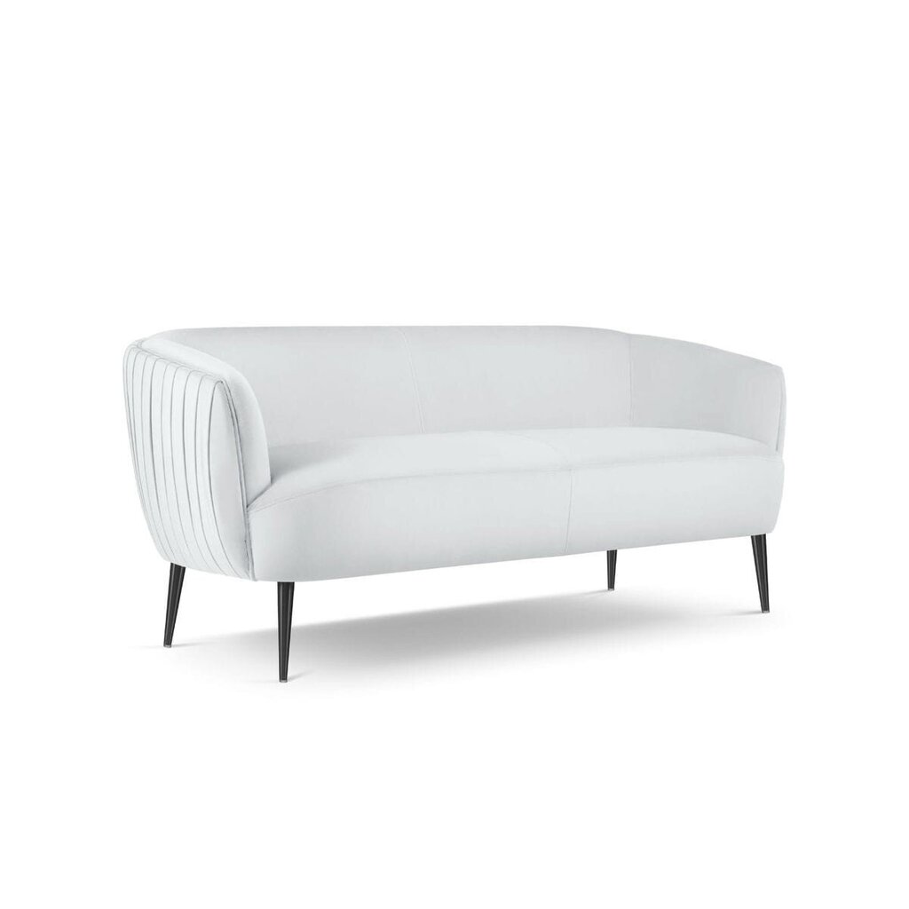 Sofa Micadoni Home Moss, pilka kaina ir informacija | Sofos | pigu.lt