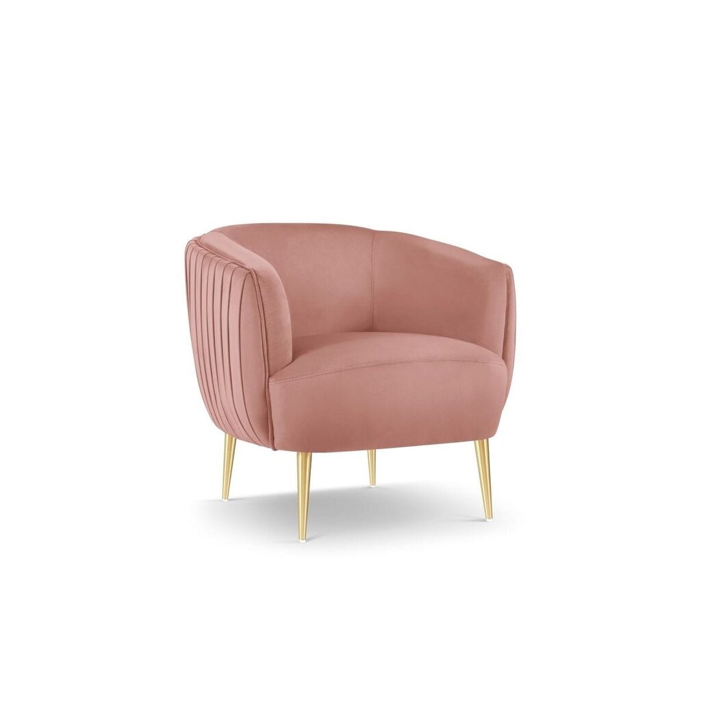 Fotelis Moss, 81x78x72 cm, rožinis kaina ir informacija | Svetainės foteliai | pigu.lt
