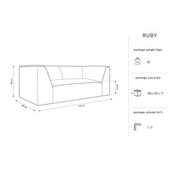 Sofa Micadoni Home Ruby, pilka kaina ir informacija | Sofos | pigu.lt