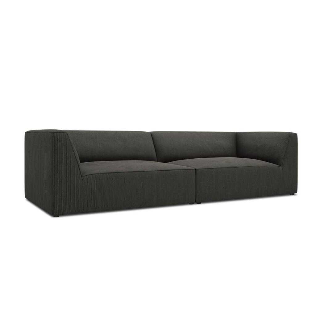 Sofa Micadoni Home Ruby, pilka kaina ir informacija | Sofos | pigu.lt