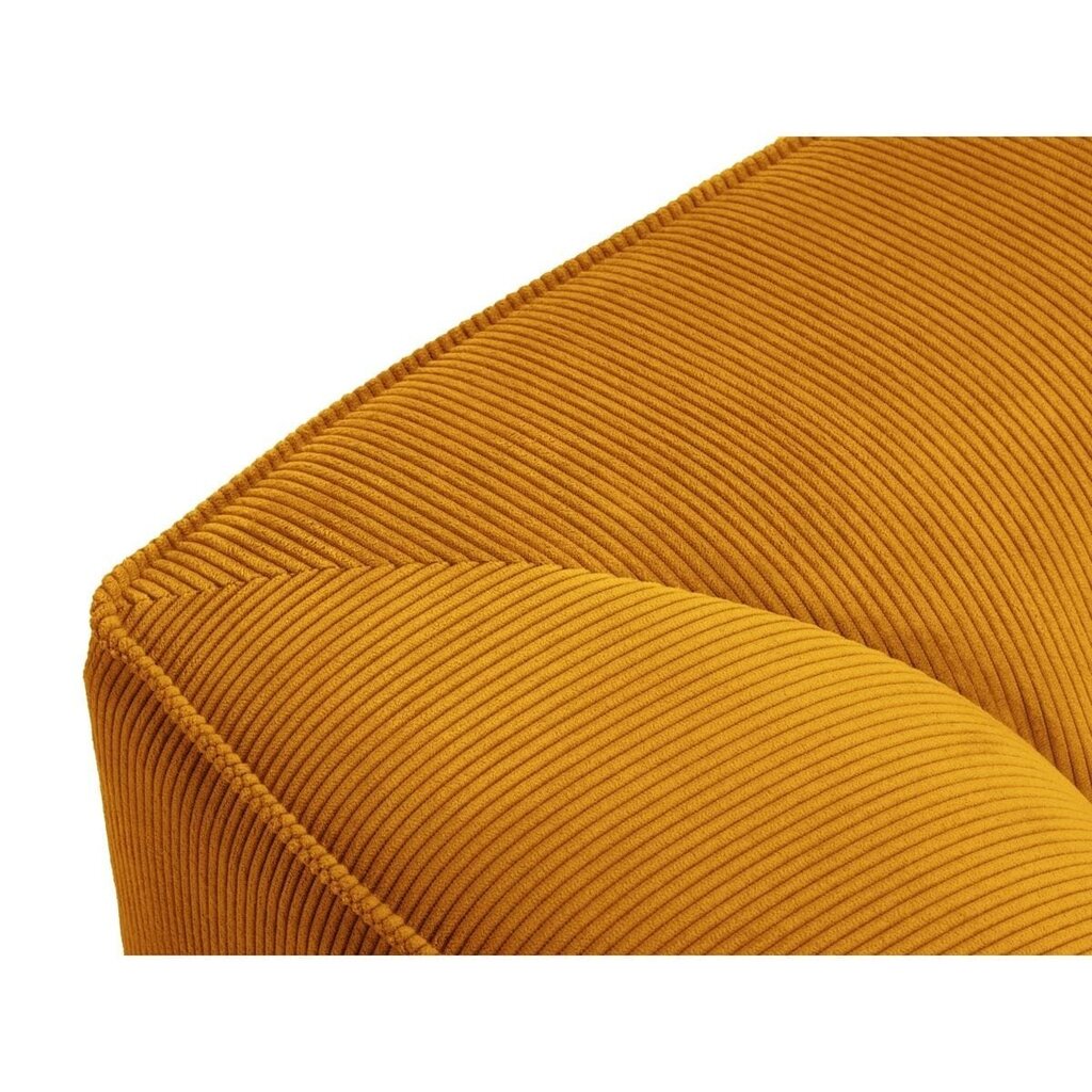 Sofa Micadoni Ruby, 273x180x69 cm, geltona kaina ir informacija | Sofos | pigu.lt