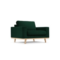 Fotelis Tugela, 121x93x83 cm, tamsiai žalias kaina ir informacija | Svetainės foteliai | pigu.lt