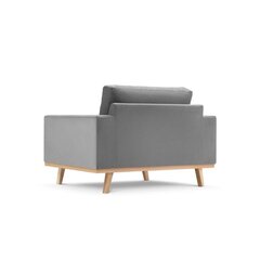 Fotelis Tugela, 121x93x83 cm, pilkas kaina ir informacija | Svetainės foteliai | pigu.lt