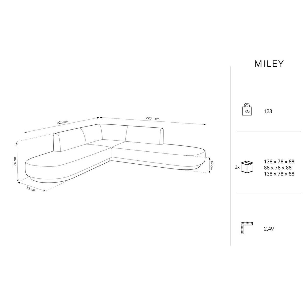 Aksominė simetrinė kampinė sofa Micadoni Miley, 220 x 220 x 74, pilka kaina ir informacija | Sofos | pigu.lt