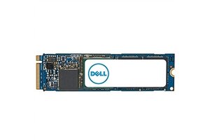 Dell AC037410 kaina ir informacija | Vidiniai kietieji diskai (HDD, SSD, Hybrid) | pigu.lt