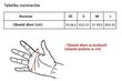 Dviračių pirštinės Vivo, S, mėlynos kaina ir informacija | Dviratininkų pirštinės | pigu.lt