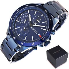 Laikrodis vyrams Tommy Hilfiger 1791720 цена и информация | Мужские часы | pigu.lt